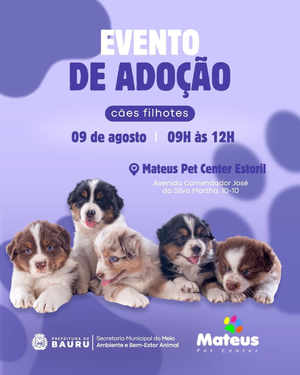Evento de Adoção de Cães Filhotes em Bauru – Neste Sábado com Apoio da Semma