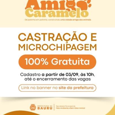 Programa Amigo Caramelo abre cadastro para castração gratuita de cães e gatos em Bauru