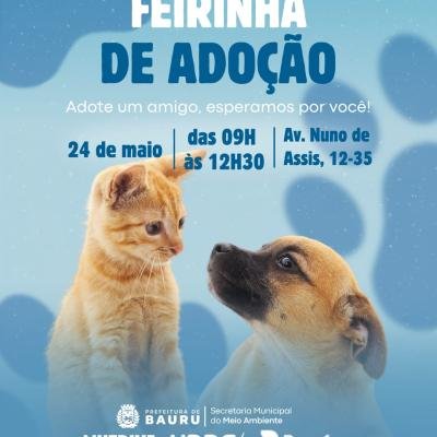 🐾 Evento de Adoção de Animais em Bauru: cães e gatos aguardam um novo lar neste sábado (24)